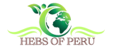 cropped logo yunior removebg preview sin fondo.png
