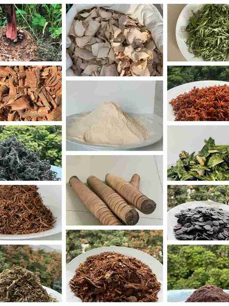 productos medicinales